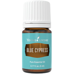 Blue Cypress (Голубой кипарис) 5ml