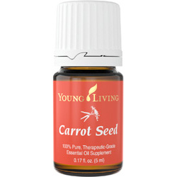 Carrot Seed (Семена моркови)