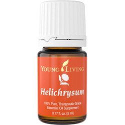 Helichrysum (Бессмертник)